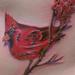 Tattoos - Cardinal Cherry Blossom - 65374